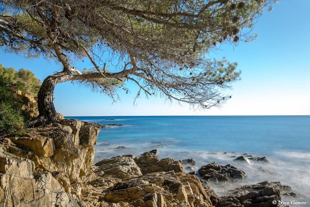 Roquebrune-Sur-Argens, Villa 2 Pieces, 4 Personnes ภายนอก รูปภาพ
